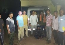 असरअल्ली वनपरीक्षेत्रात सागावन तस्करीचा फर्दाफाश -दोन कारवाईत सव्वा दोन लाखांचा सगवान जप्त -तिघांना अटक