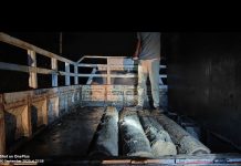 चिंतलपल्ली सागवान तस्करी ‘एफडीसीएएम’चे भ्रष्ट कर्म -एक कर्मचारी निलंबित; आरोपींची वनकोठडीत रवानगी